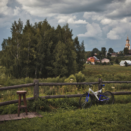 Photo #13788035