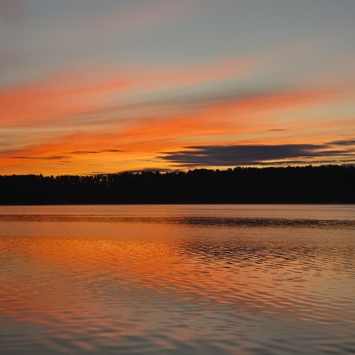 Photo #13788055