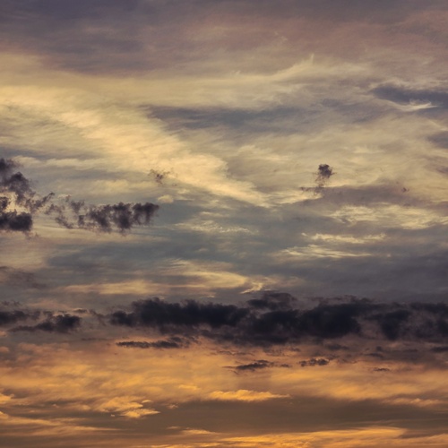 Photo #13788063