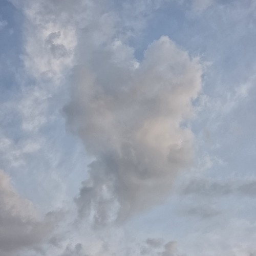 Photo #13788068