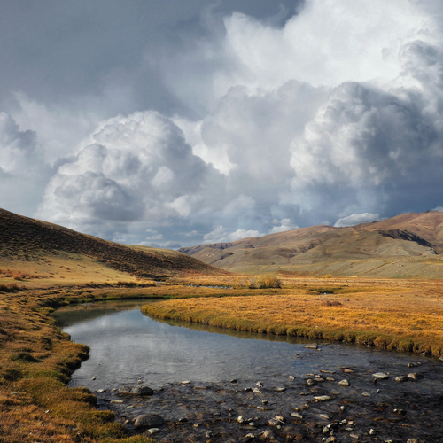 Photo #13788087