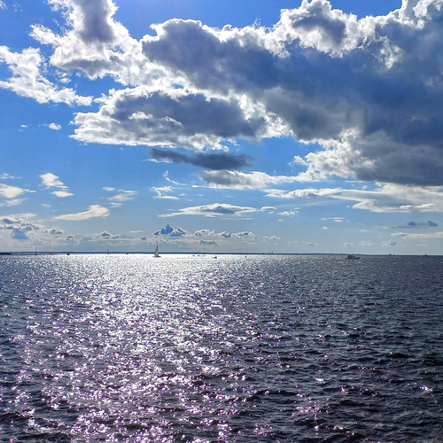 Photo #13788103