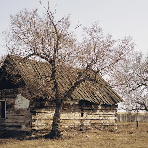 Photo #13788175