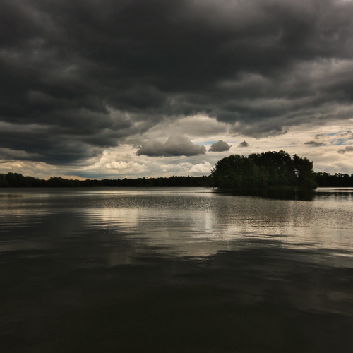 Photo #13788177