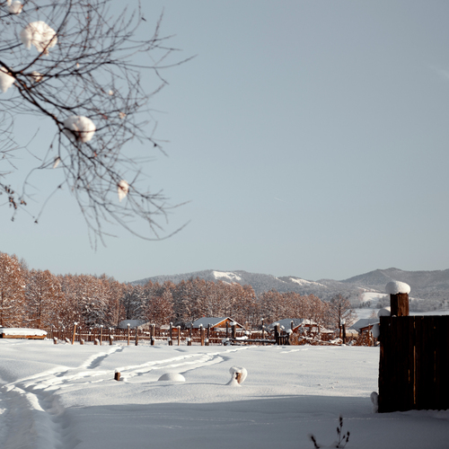 Photo #13788179