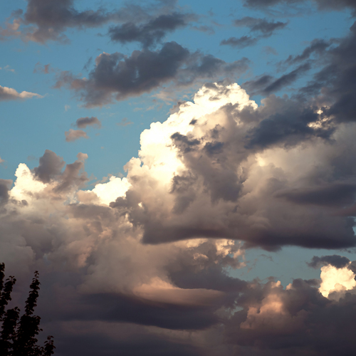 Photo #13788189