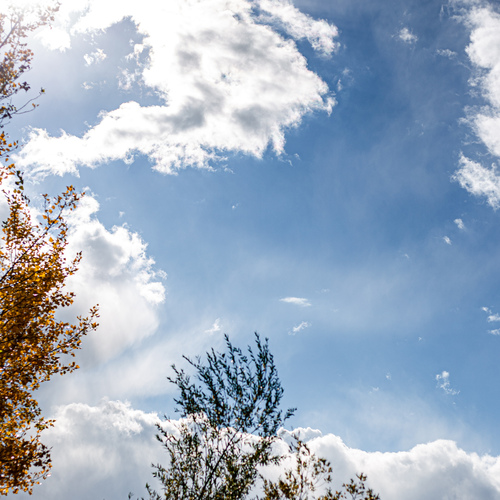 Photo #13788195