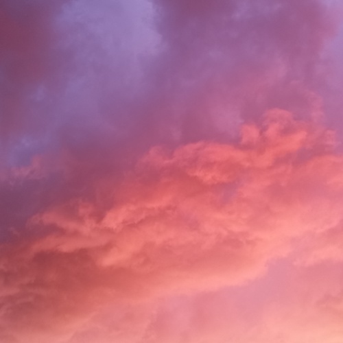 Photo #13788366