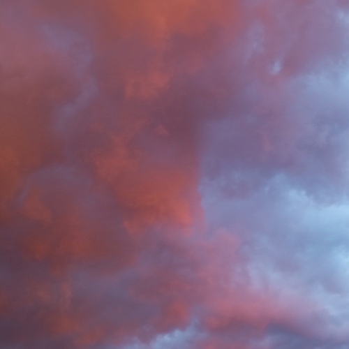 Photo #13788368
