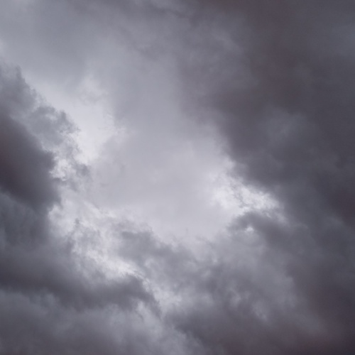 Photo #13788369