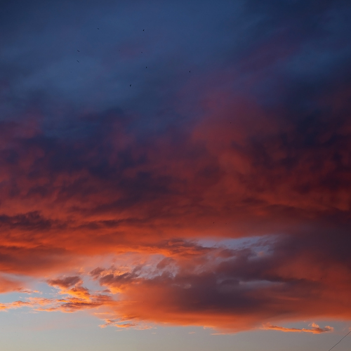 Photo #13788407
