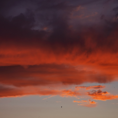 Photo #13788408