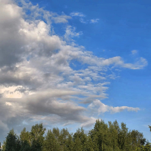 Photo #13788409