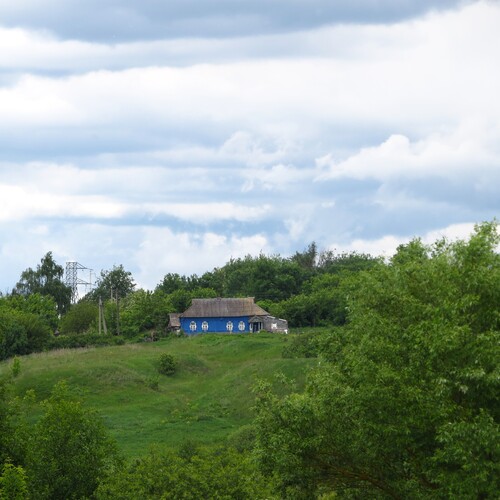 Photo #13788457