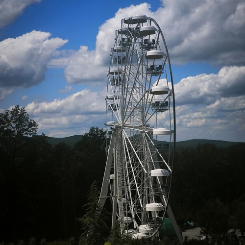 Photo #13788466