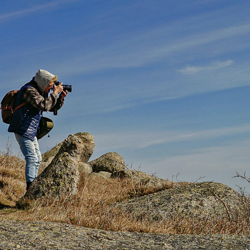 Photo #13788490