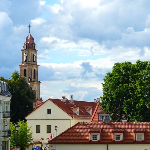Photo #13788500