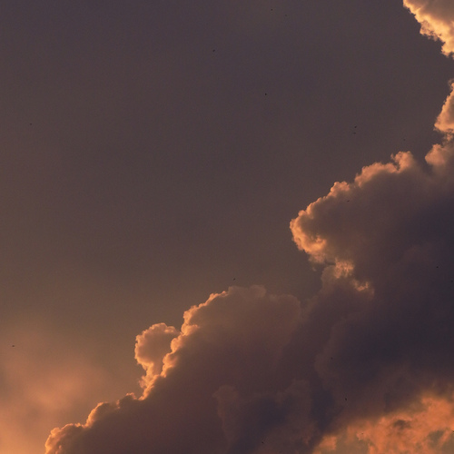Photo #13788502