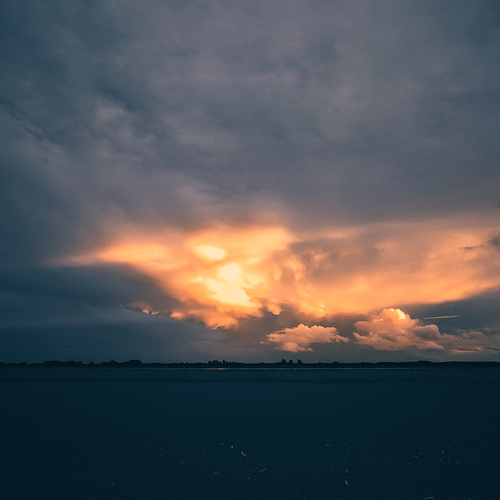 Photo #13788540