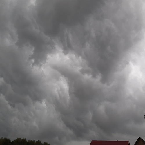 Photo #13788564