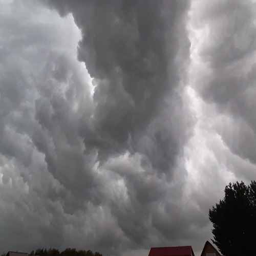 Photo #13788565