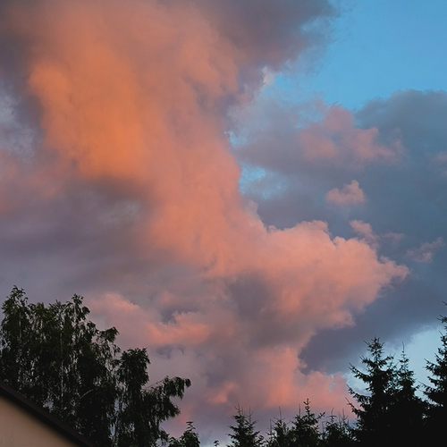 Photo #13788675