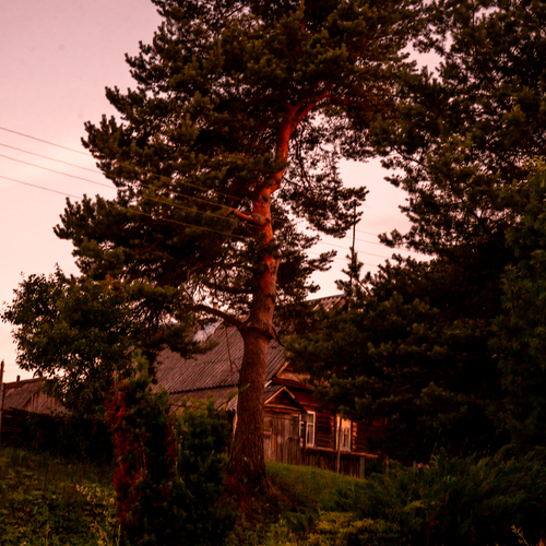 Photo #13788767