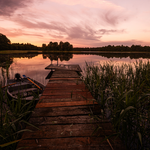 Photo #13788864