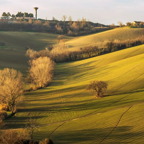 Photo #13788935