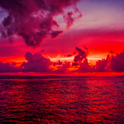 Photo #13788986