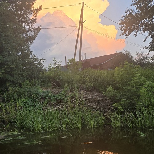 Photo #13788988