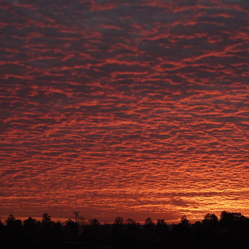 Photo #13788990