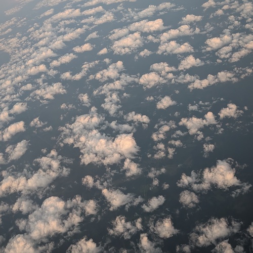 Photo #13789007