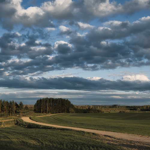 Photo #13789016