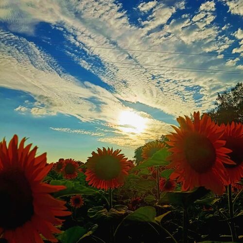 Photo #13789023