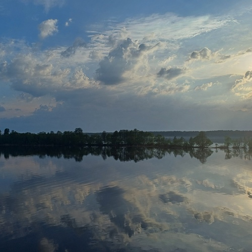 Photo #13789107