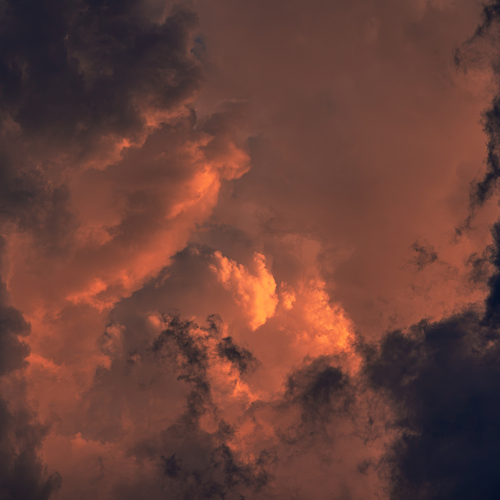 Photo #13789131