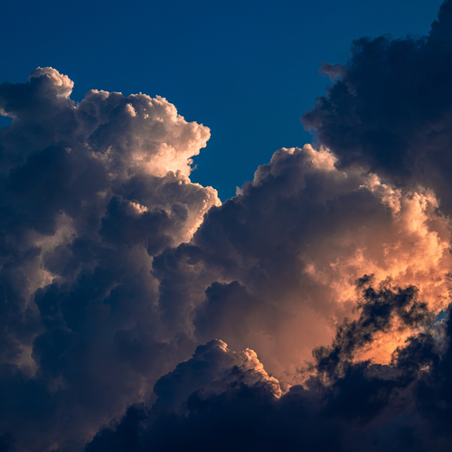 Photo #13789132