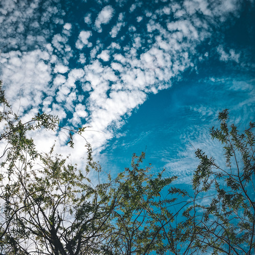 Photo #13789150