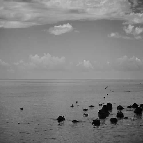 Photo #13789157
