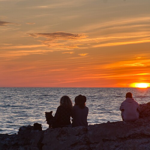 Photo #13789182