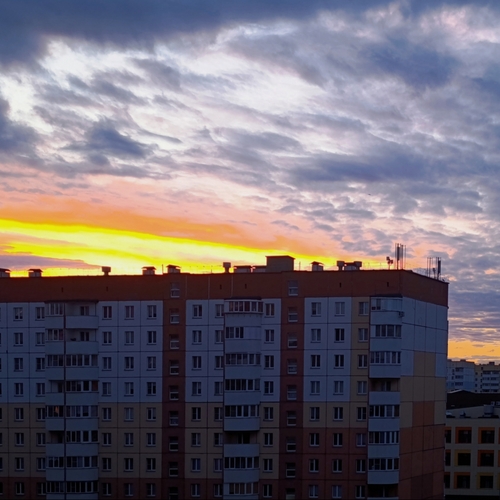 Photo #13789318