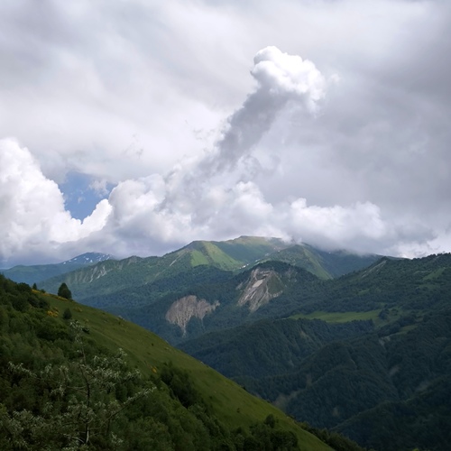 Photo #13789394