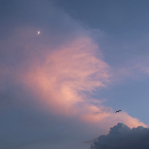 Photo #13789401