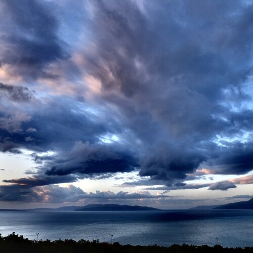 Photo #13789447