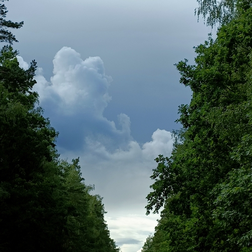 Photo #13789458