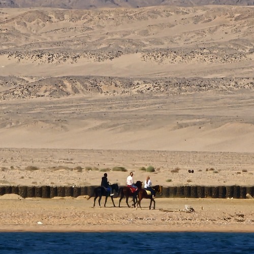 Near Sharm El Sheikh. Horseback riding.