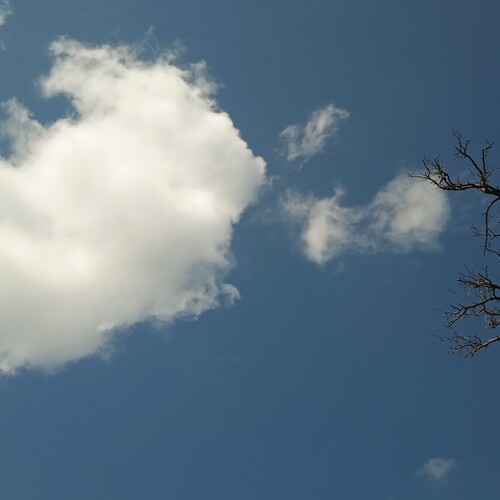 Photo #13789508