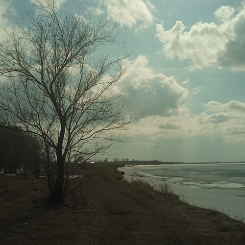 Photo #13789509