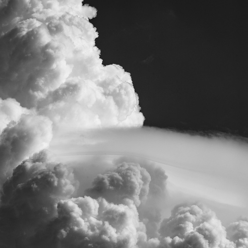 Photo #13789546